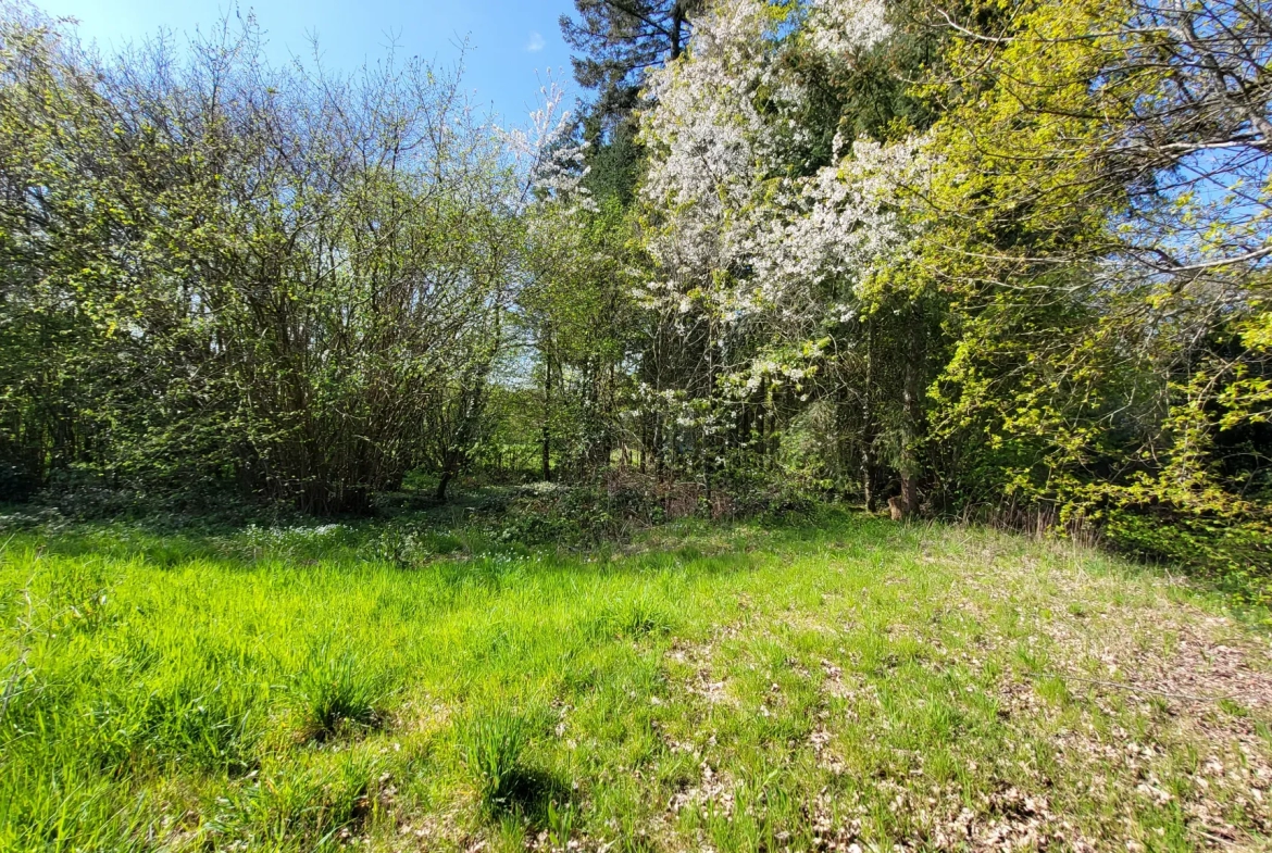 Maison avec dépendances, terrain 1400m2 à St Cyr 