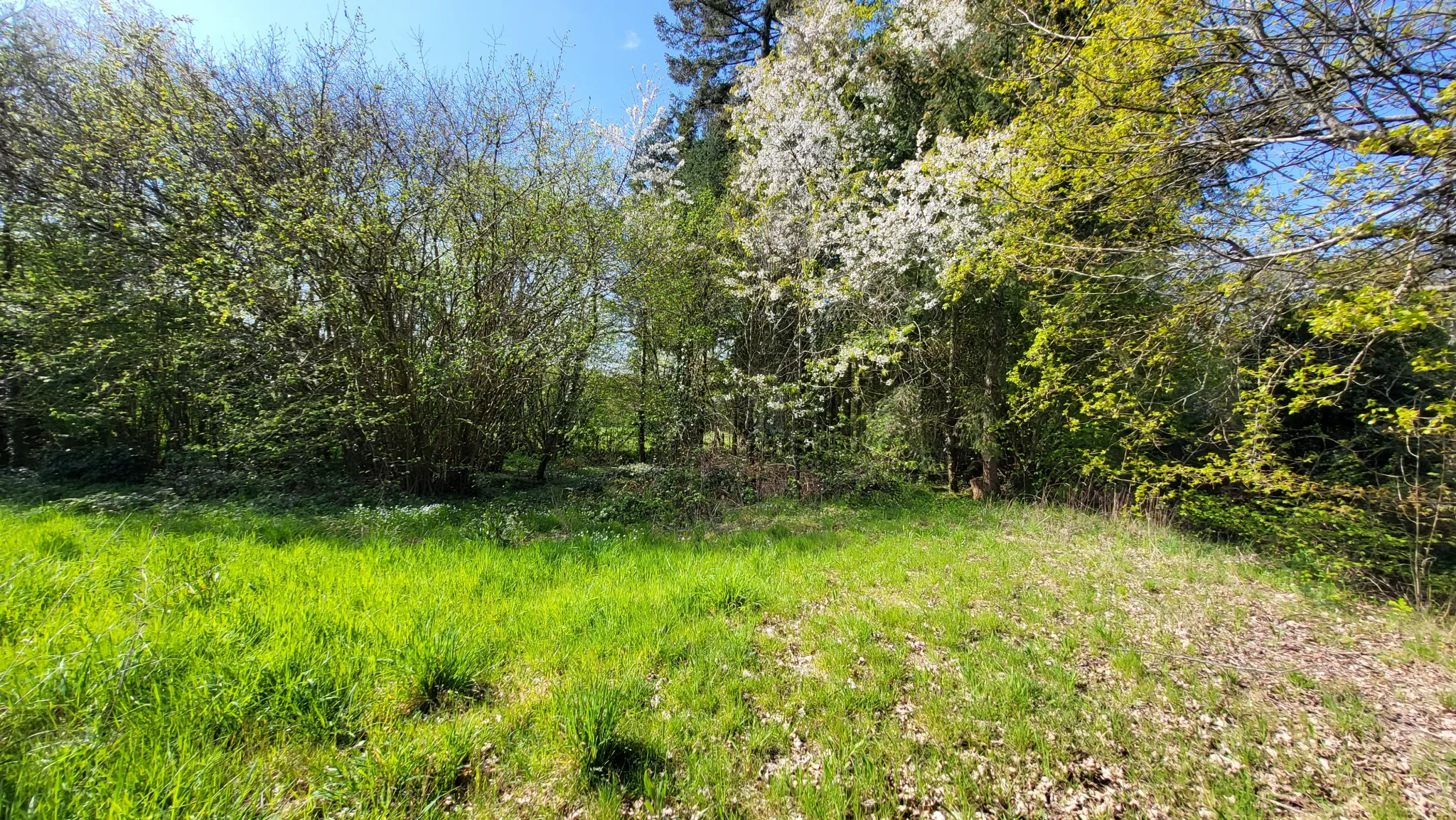 Maison avec dépendances, terrain 1400m2 à St Cyr 