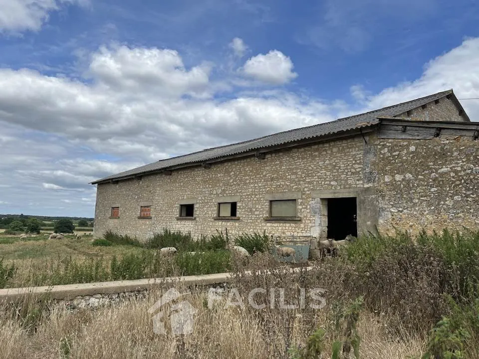 Maison en pierre avec grange et vaste terrain 