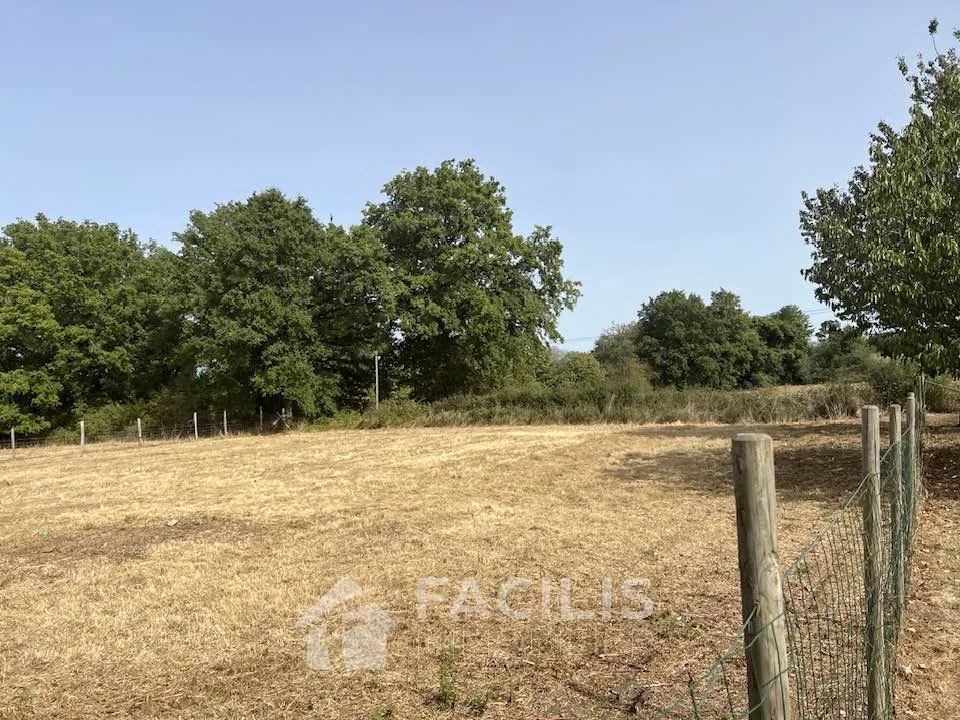 Maison en pierre avec grange et vaste terrain 