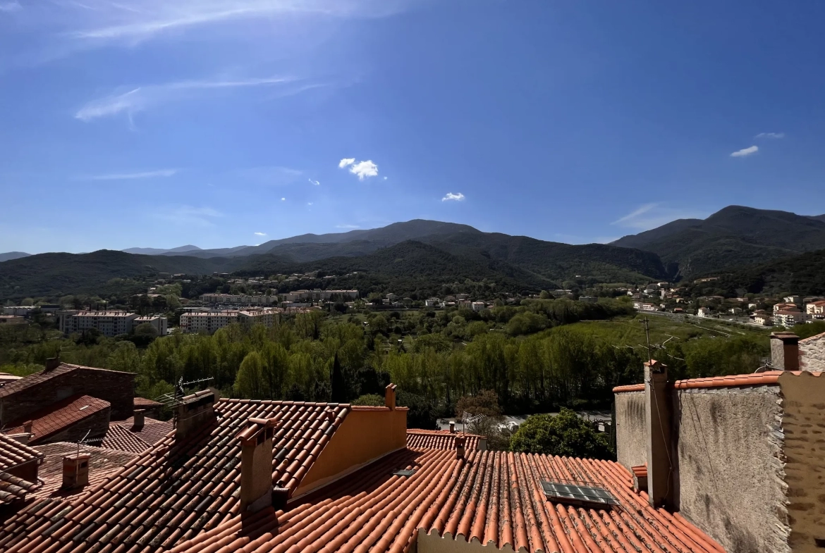 Maison de village Amélie-Les-Bains-Palalda 