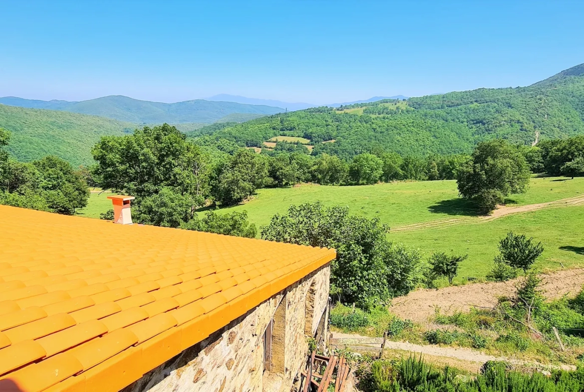 Maison de campagne avec 3 chambres et grande terrasse à Saint-Marsal 