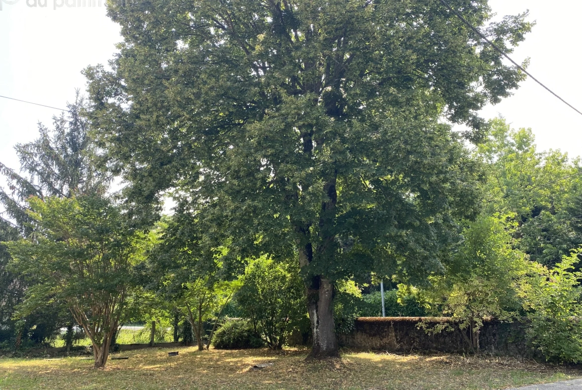 Maison en Pierre à Saint Côme, Calme et Potentiel d'Aménagement 