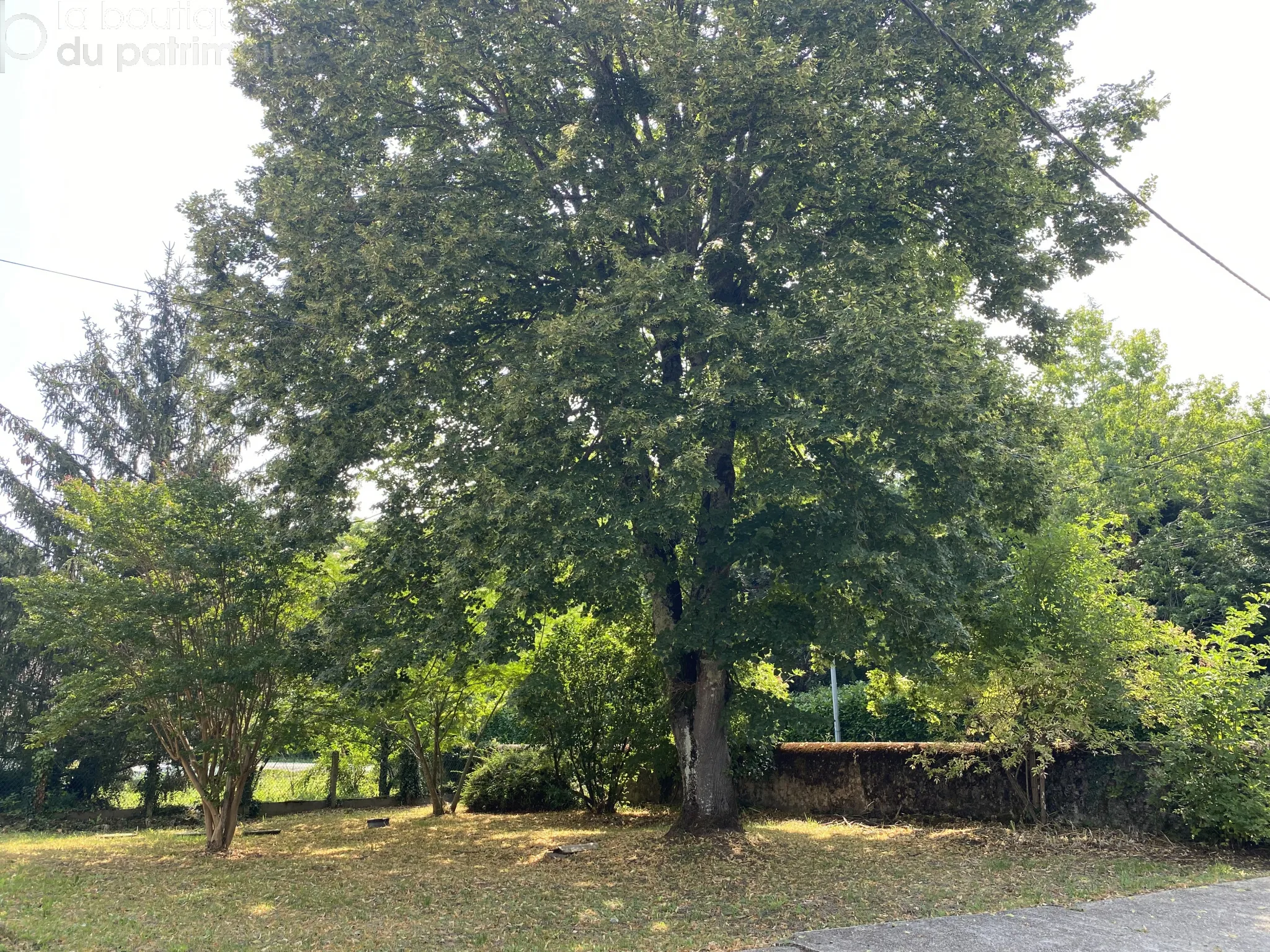 Maison en Pierre à Saint Côme, Calme et Potentiel d'Aménagement 