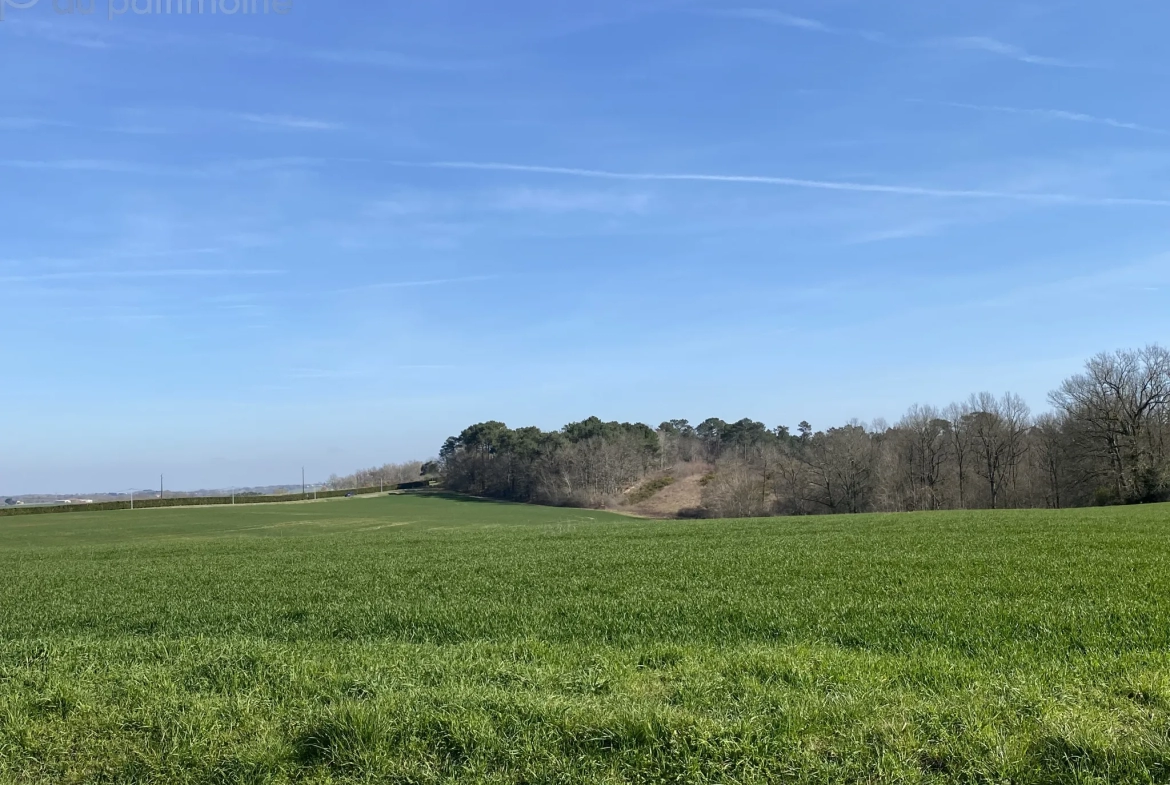 Maison de Campagne avec Terrain - Casteljaloux 