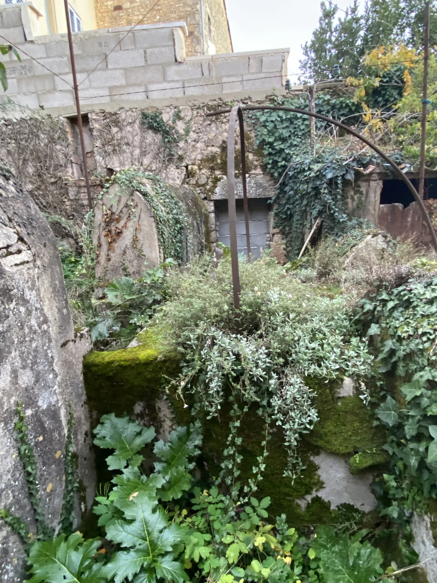 Maison de village à Lacapelle-Biron avec jardin 