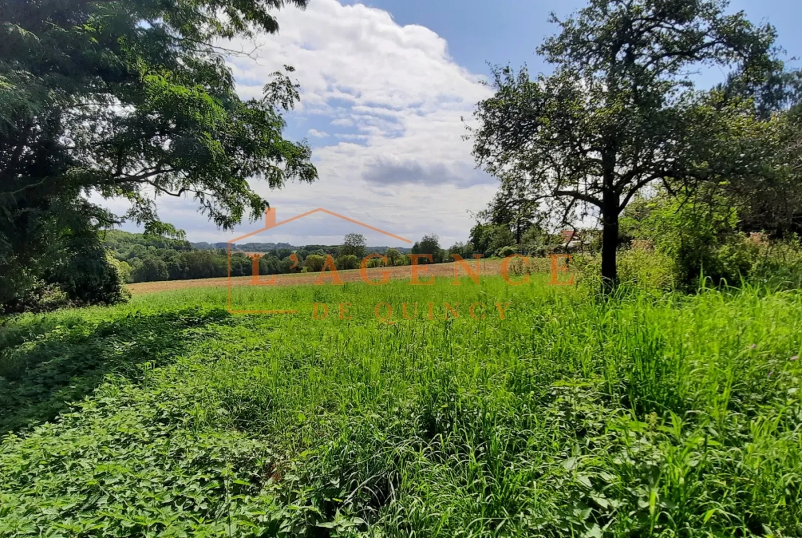 Terrain à bâtir à Quincy-voisins de 408m2 