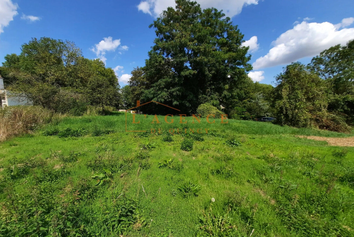 Terrain à bâtir à Quincy-voisins de 408m2 