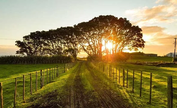 Parcelle de Terre Agricole à Vendre à Saint Barthélemy