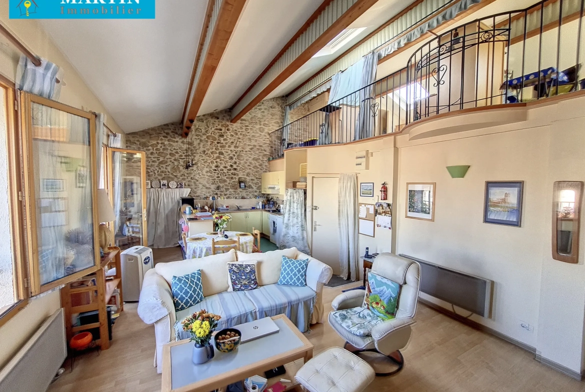 Appartement en duplex à Ceret avec belle vue 