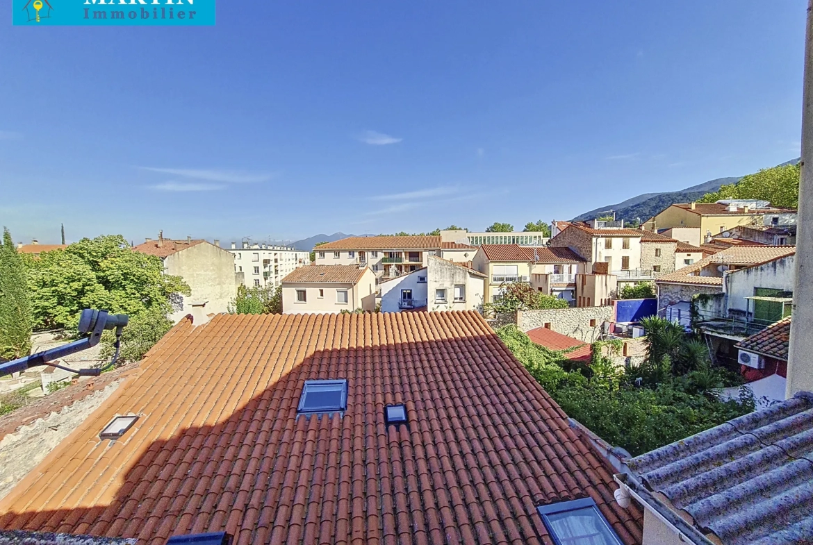 Appartement en duplex à Ceret avec belle vue 