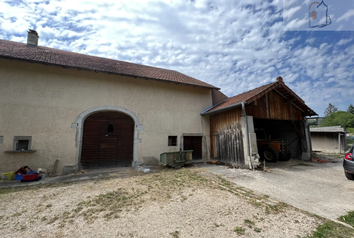 Dépendance en pierre à réhabiliter en habitation - Clairvaux les Lacs 