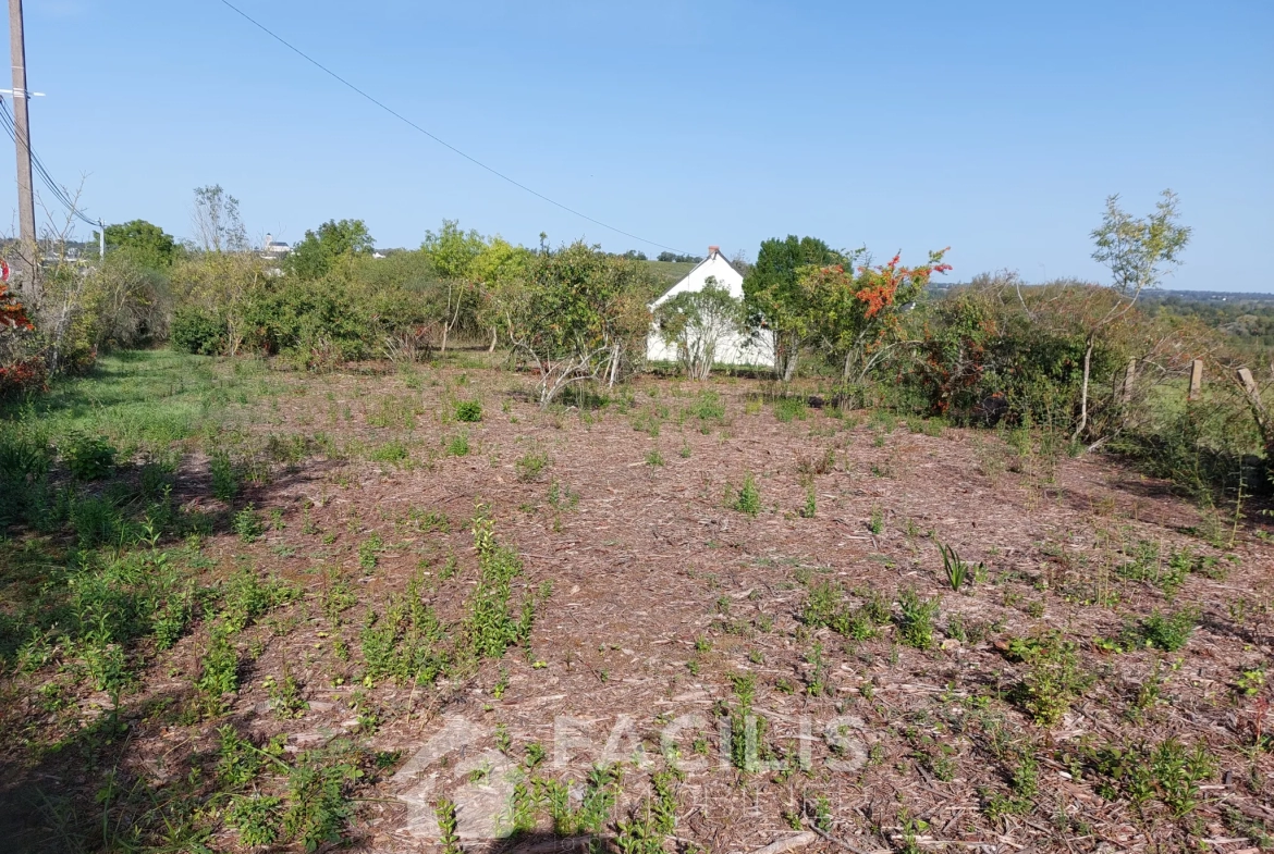 Maisonnette à Montjean sur Loire avec vue, terrain de 1967m2 