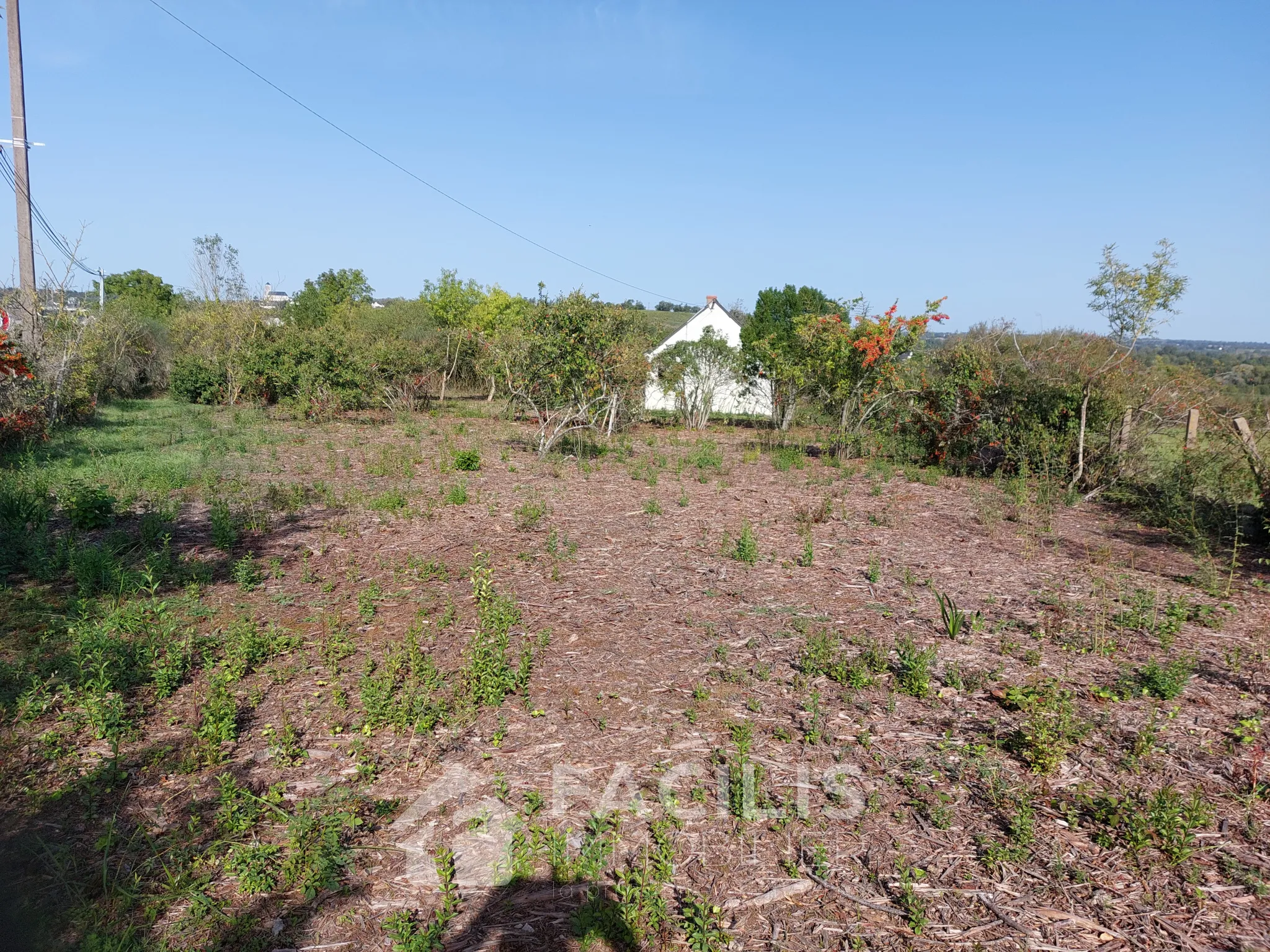 Maisonnette à Montjean sur Loire avec vue, terrain de 1967m2 