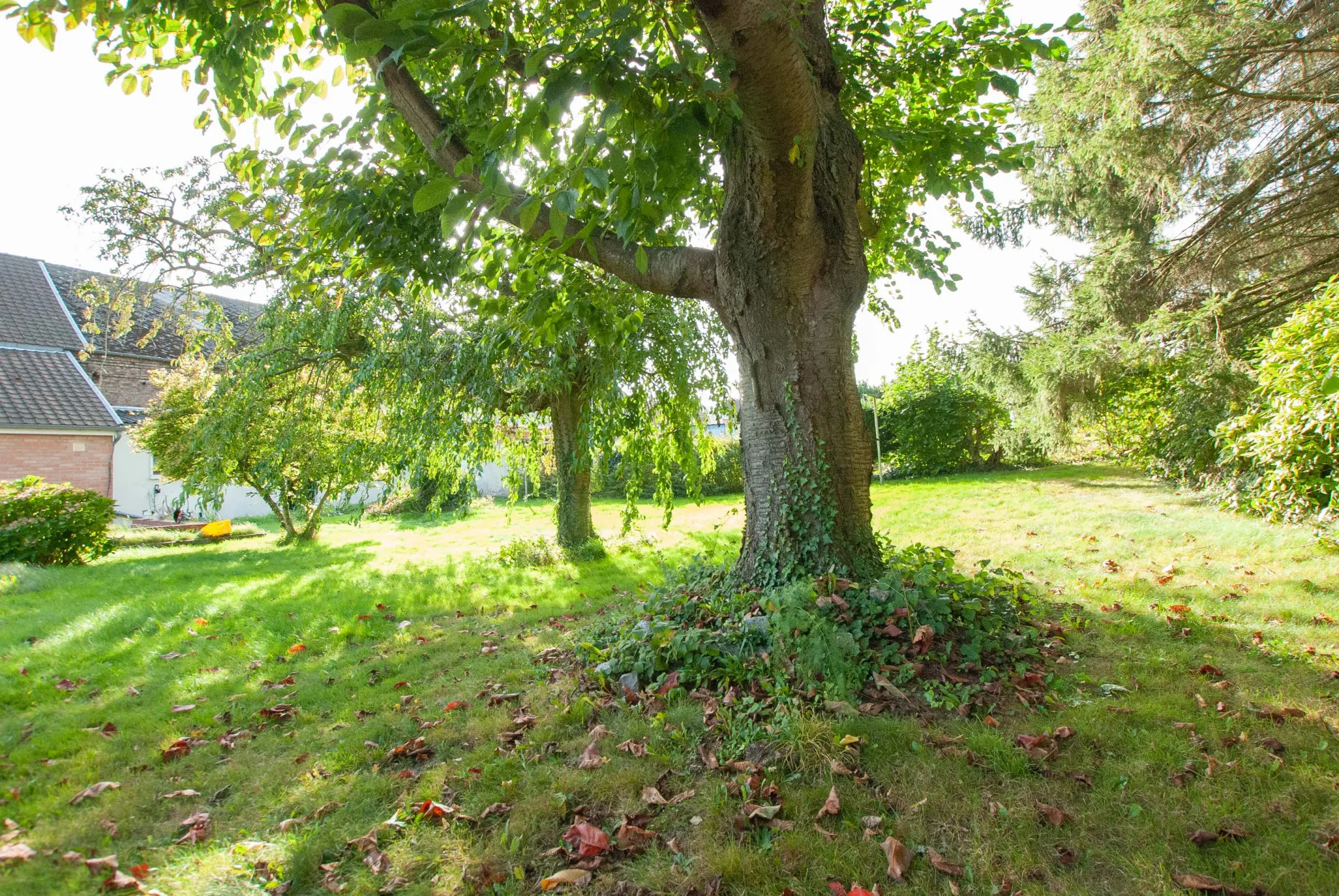 Maison Semi-Individuelle à Boussois 