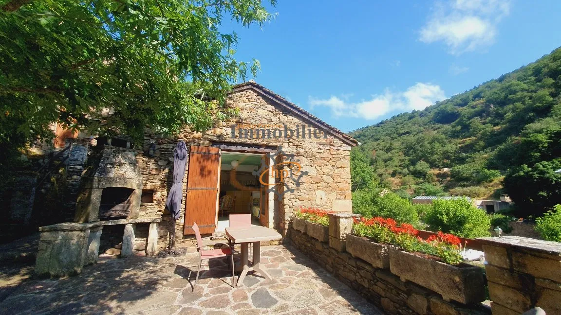 Vente Gîtes Brousse le Château - 235 600 € 