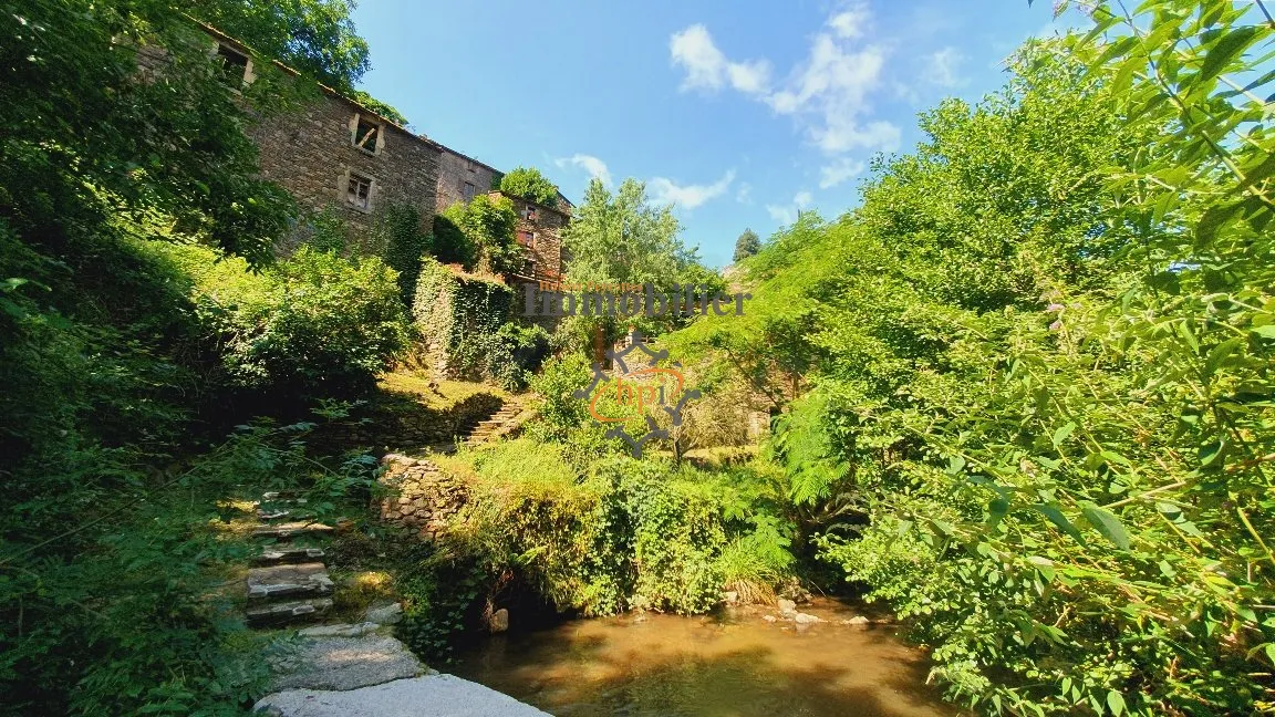 Vente Gîtes Brousse le Château - 235 600 € 