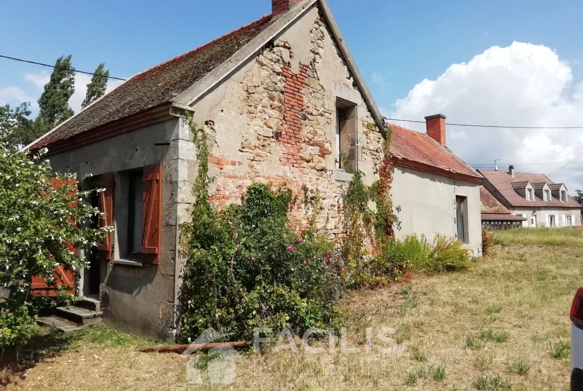 Maison de village à réhabiliter - Proche Tronçais à 30 km de Moulins 