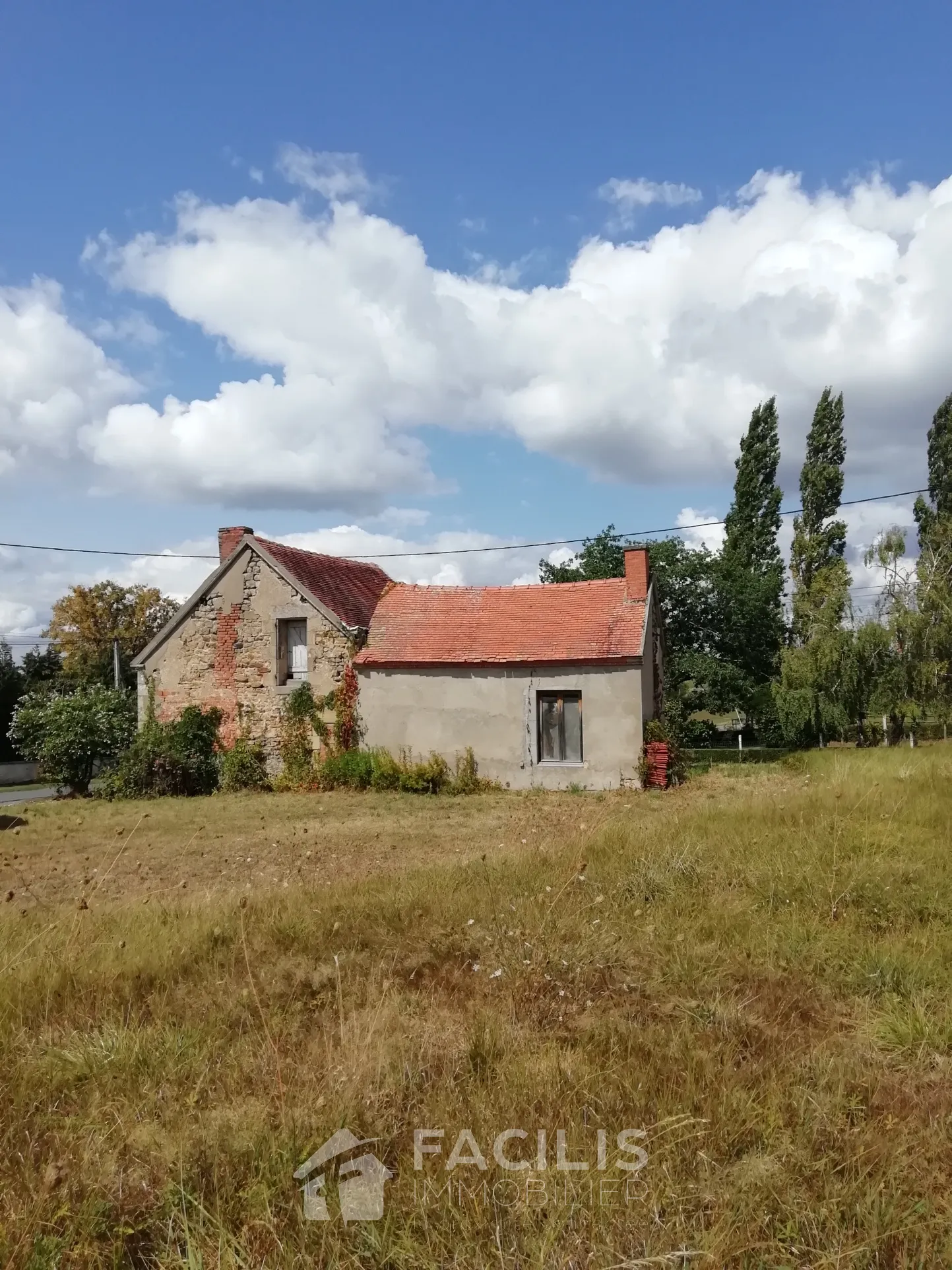 Maison de village à réhabiliter - Proche Tronçais à 30 km de Moulins 