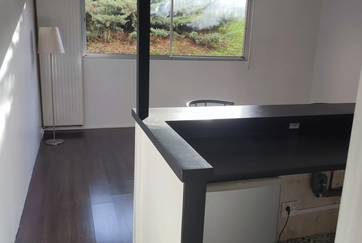 Grand studio de 30m2 à Antony pour investisseur ou primo-accédant! 