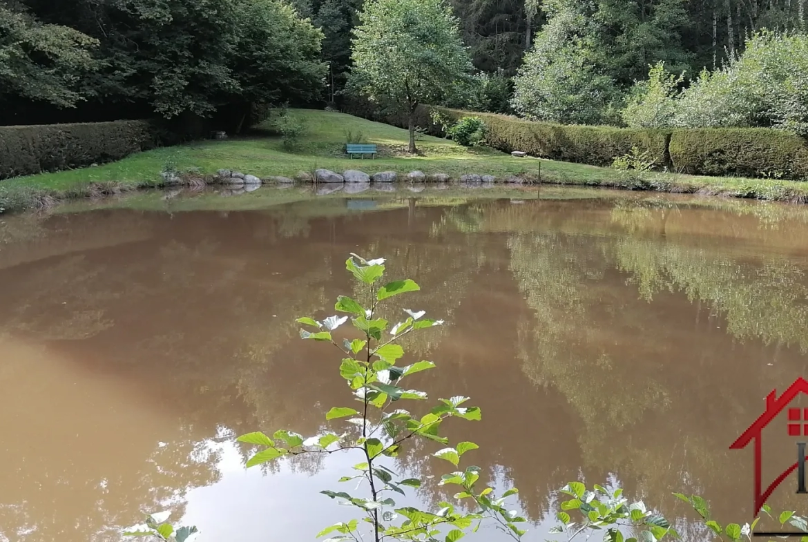 Etang de 710m2 à Epinal, Vosges 