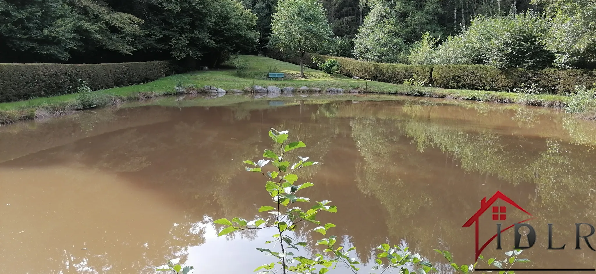 Etang de 710m2 à Epinal, Vosges 