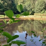 Etang de 710m2 à Epinal, Vosges