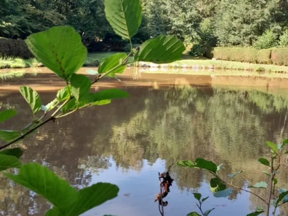 Etang de 710m2 à Epinal, Vosges