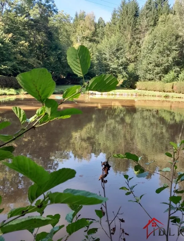 Etang de 710m2 à Epinal, Vosges 