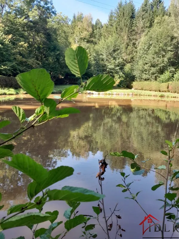 Etang de 710m2 à Epinal, Vosges 