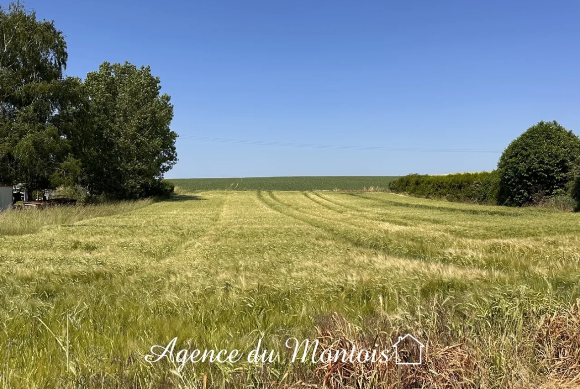 Terrain à bâtir 1009 m2 - Région Provins 