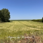 Terrain à bâtir 1009 m2 - Région Provins