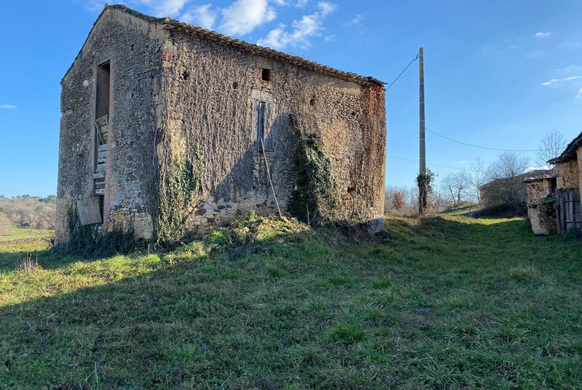 Maison à vendre à Biron avec vue sur château 