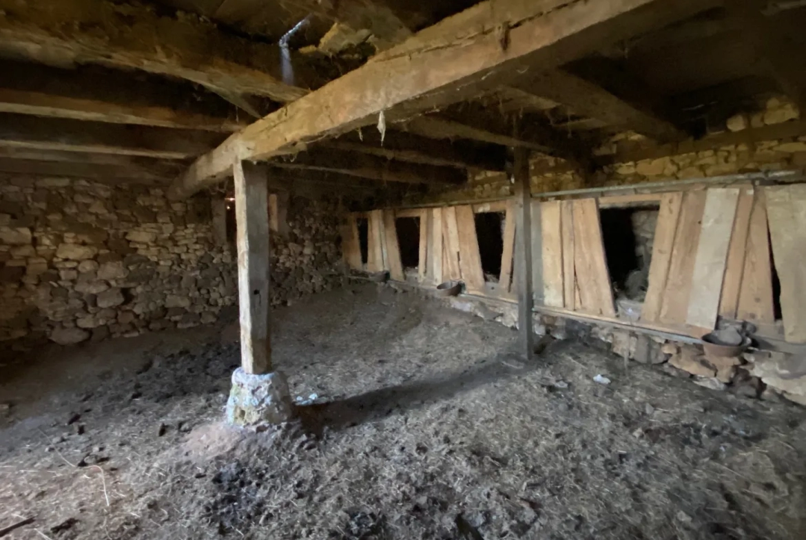 Maison à vendre à Biron avec vue sur château 