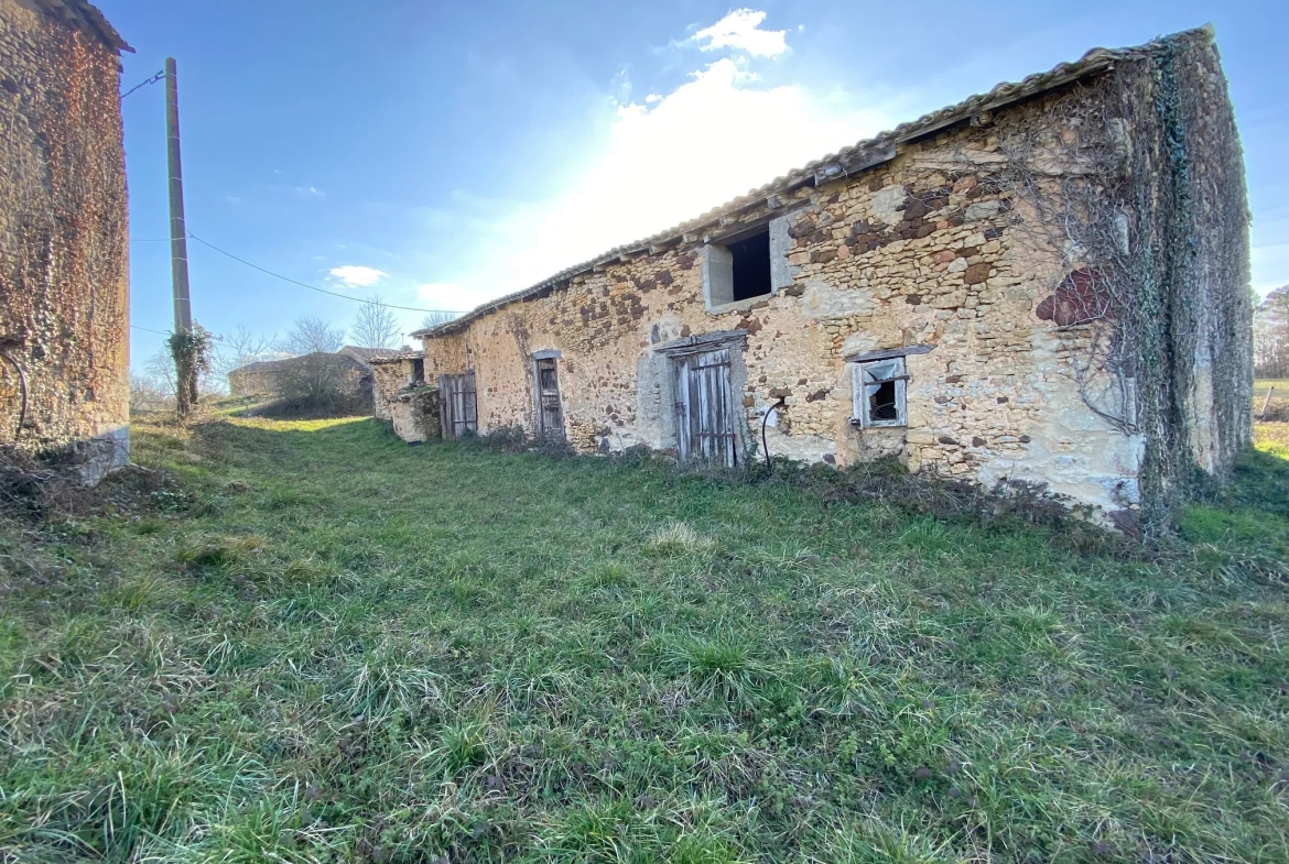 Maison à vendre à Biron avec vue sur château 