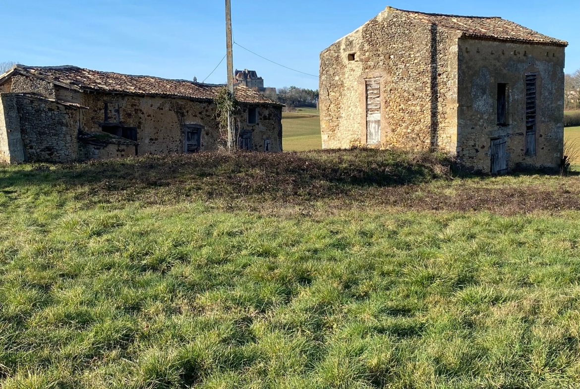 Maison à vendre à Biron avec vue sur château 