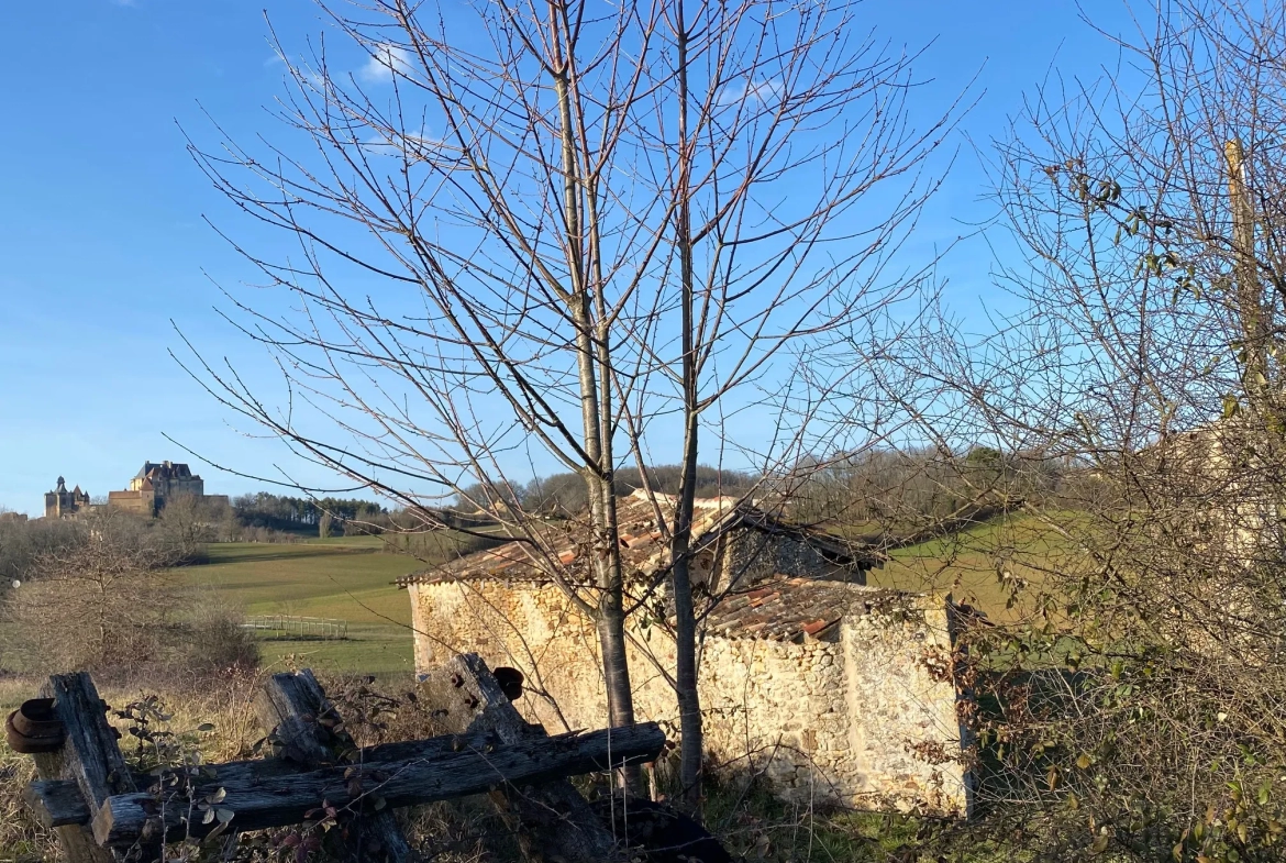 Maison à vendre à Biron avec vue sur château 