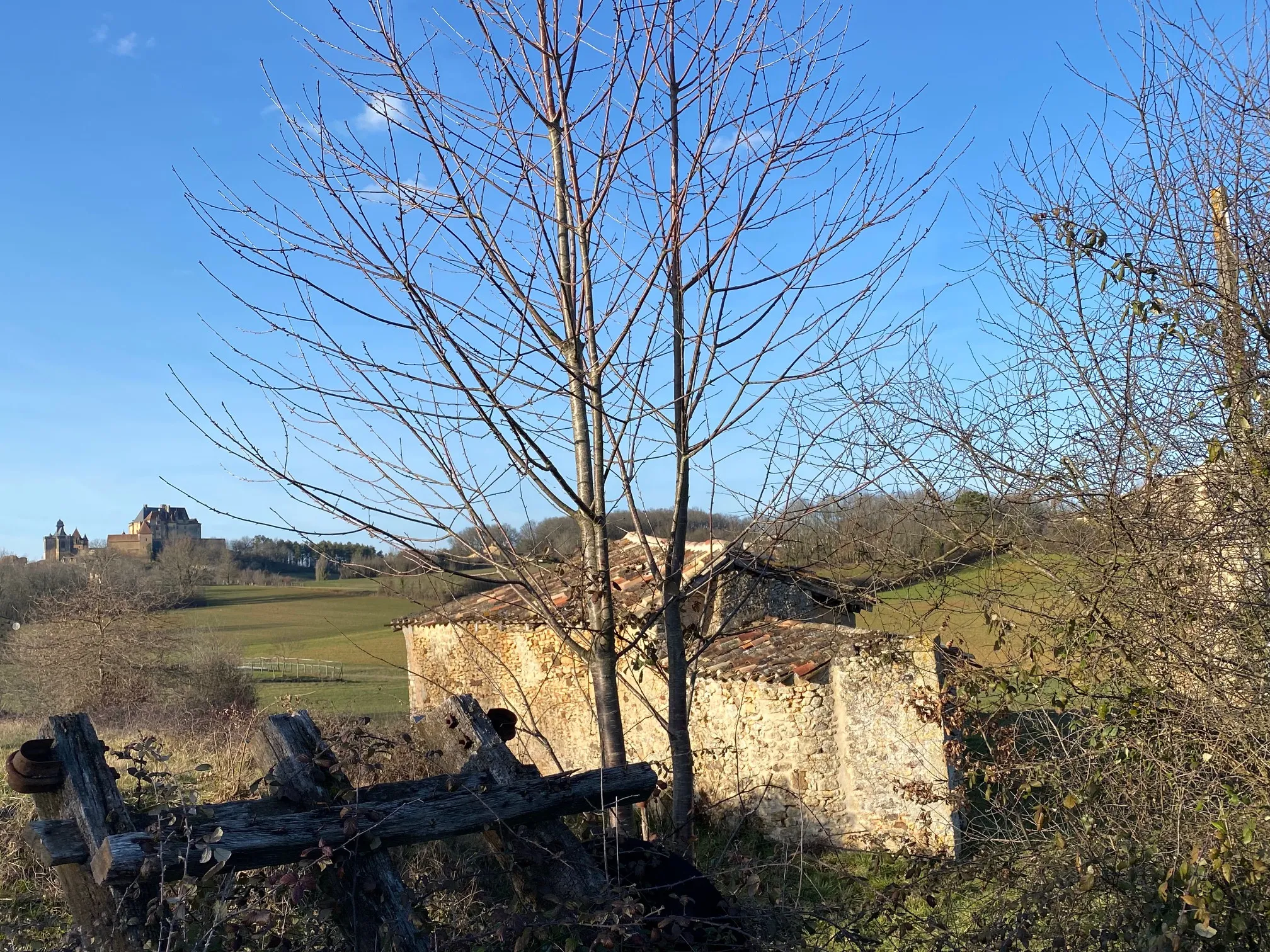 Maison à vendre à Biron avec vue sur château 