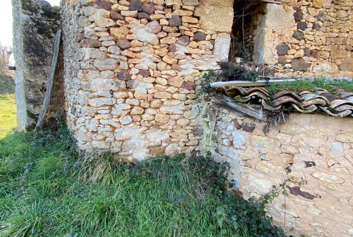 Maison à vendre à Biron avec vue sur château 