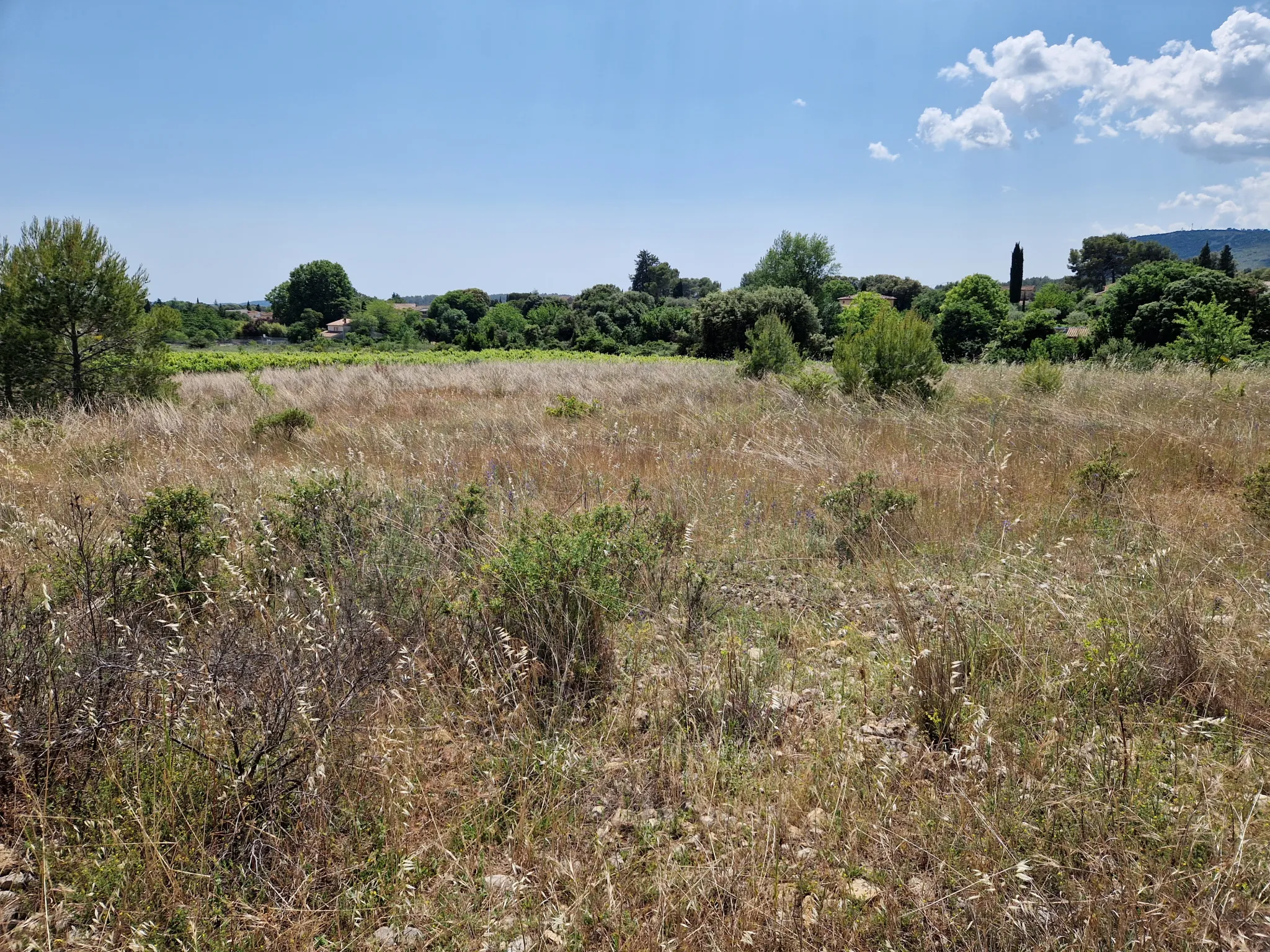 Terrain agricole à Garrigues de 4140 m2 