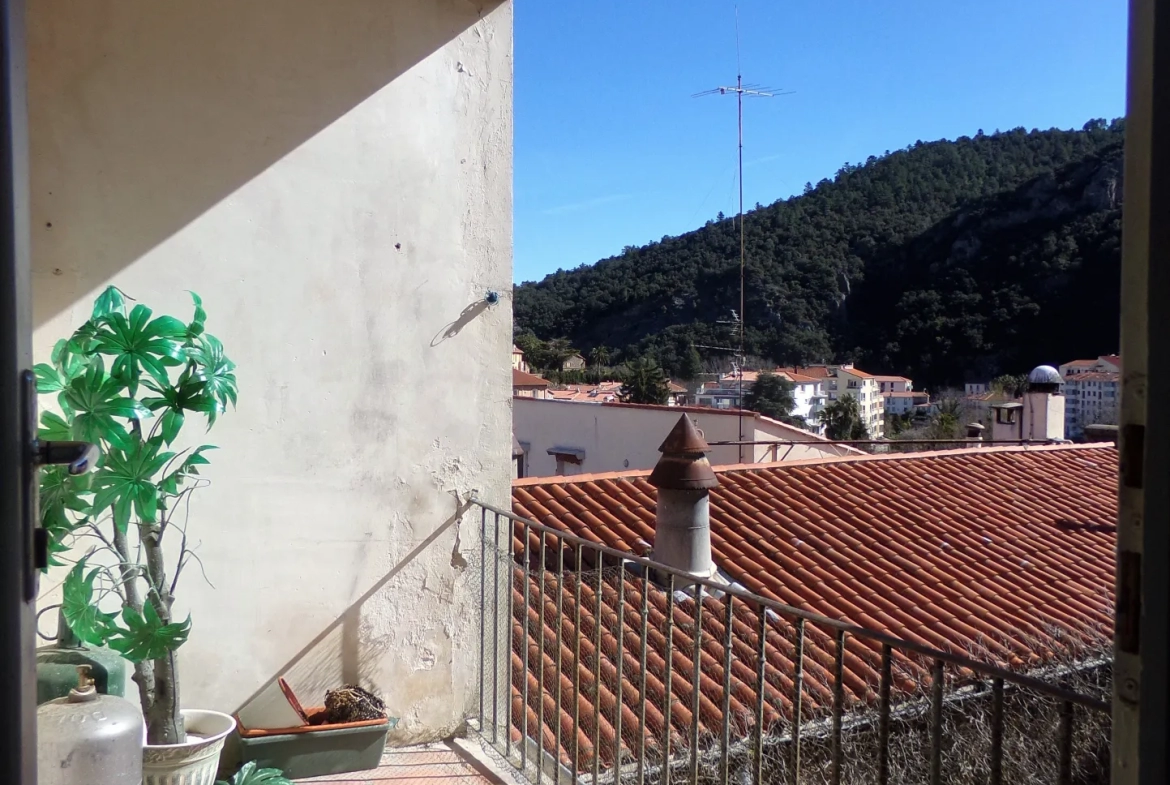 Appartement F3 avec Terrasse à Amelie les Bains Palalda 