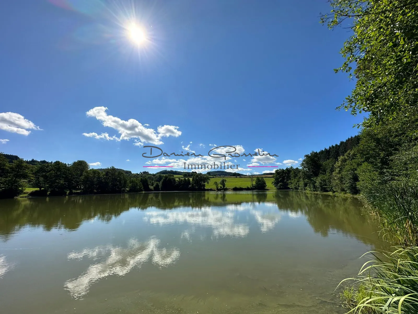 Etang de pêche à vendre à Cublize - Terrain de loisir 