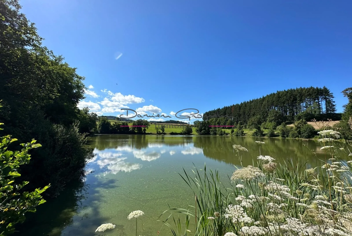 Etang de pêche à vendre à Cublize - Terrain de loisir 