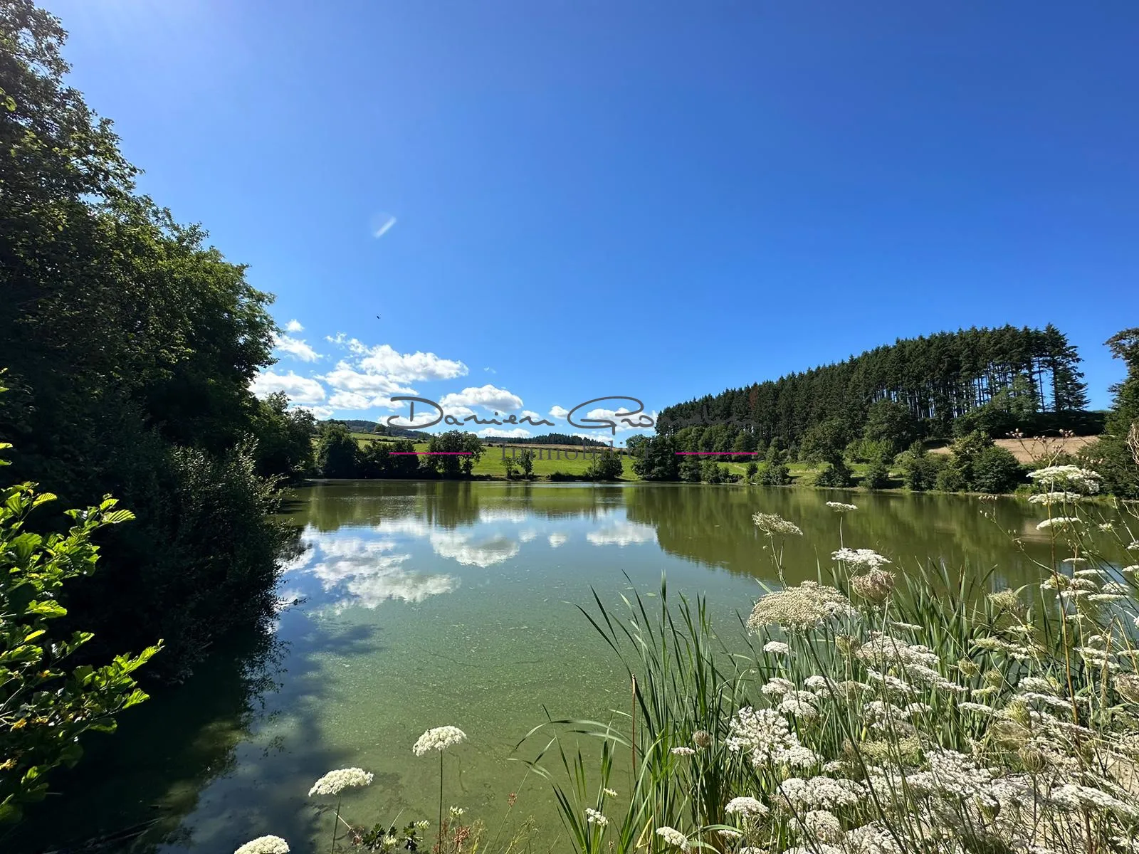 Etang de pêche à vendre à Cublize - Terrain de loisir 