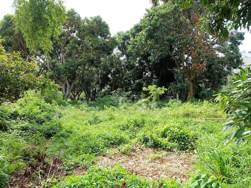 Terrain à bâtir de 578m2 à La Montagne 