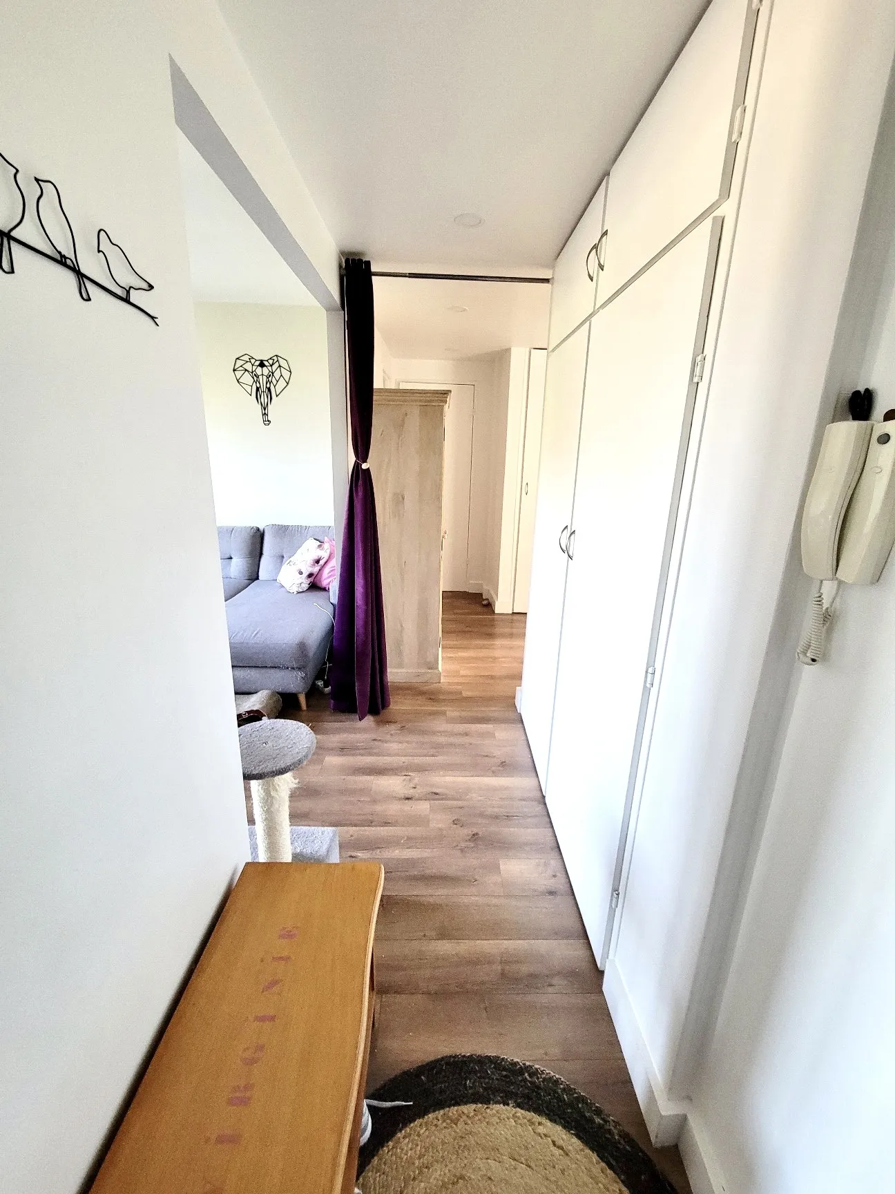 Appartement T4 67 m2 à Champigny-sur-Marne 