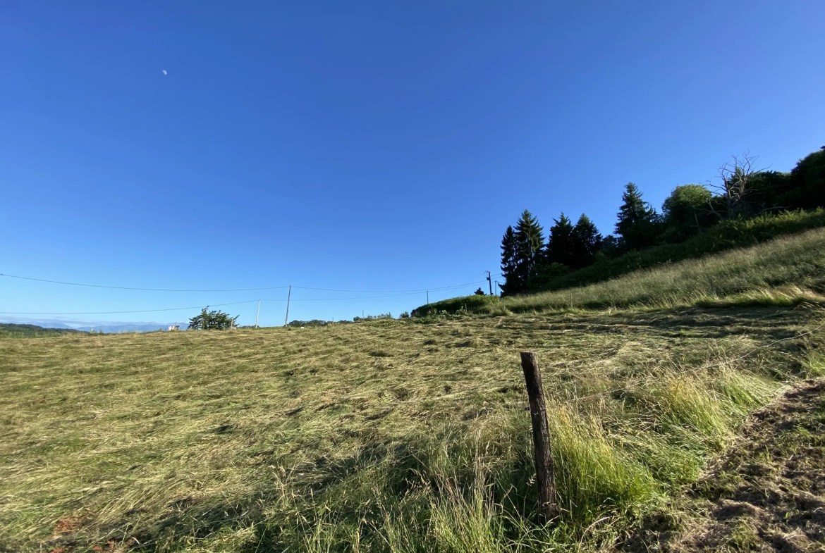 Terrain Constructible avec Vue Pyrénées à Monein 