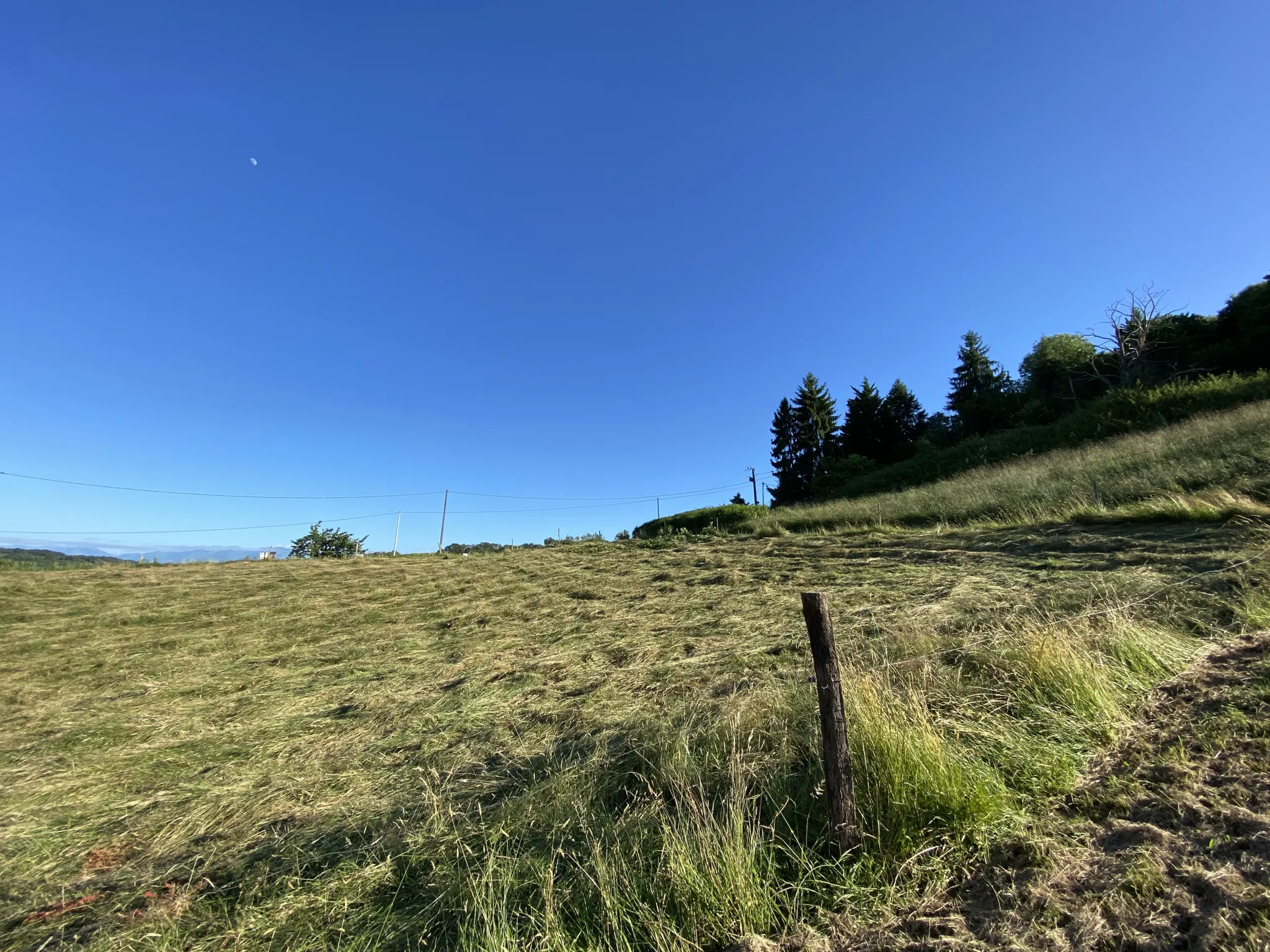 Terrain Constructible avec Vue Pyrénées à Monein 