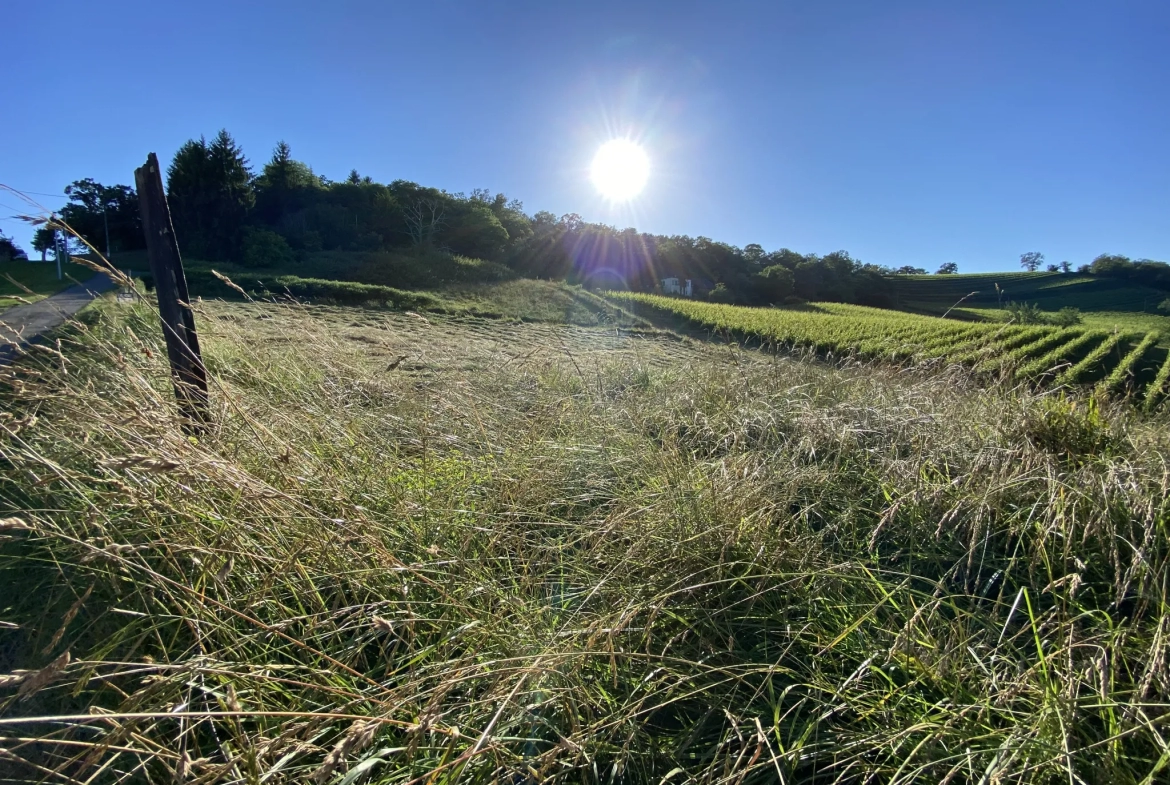 Terrain Constructible avec Vue Pyrénées à Monein 