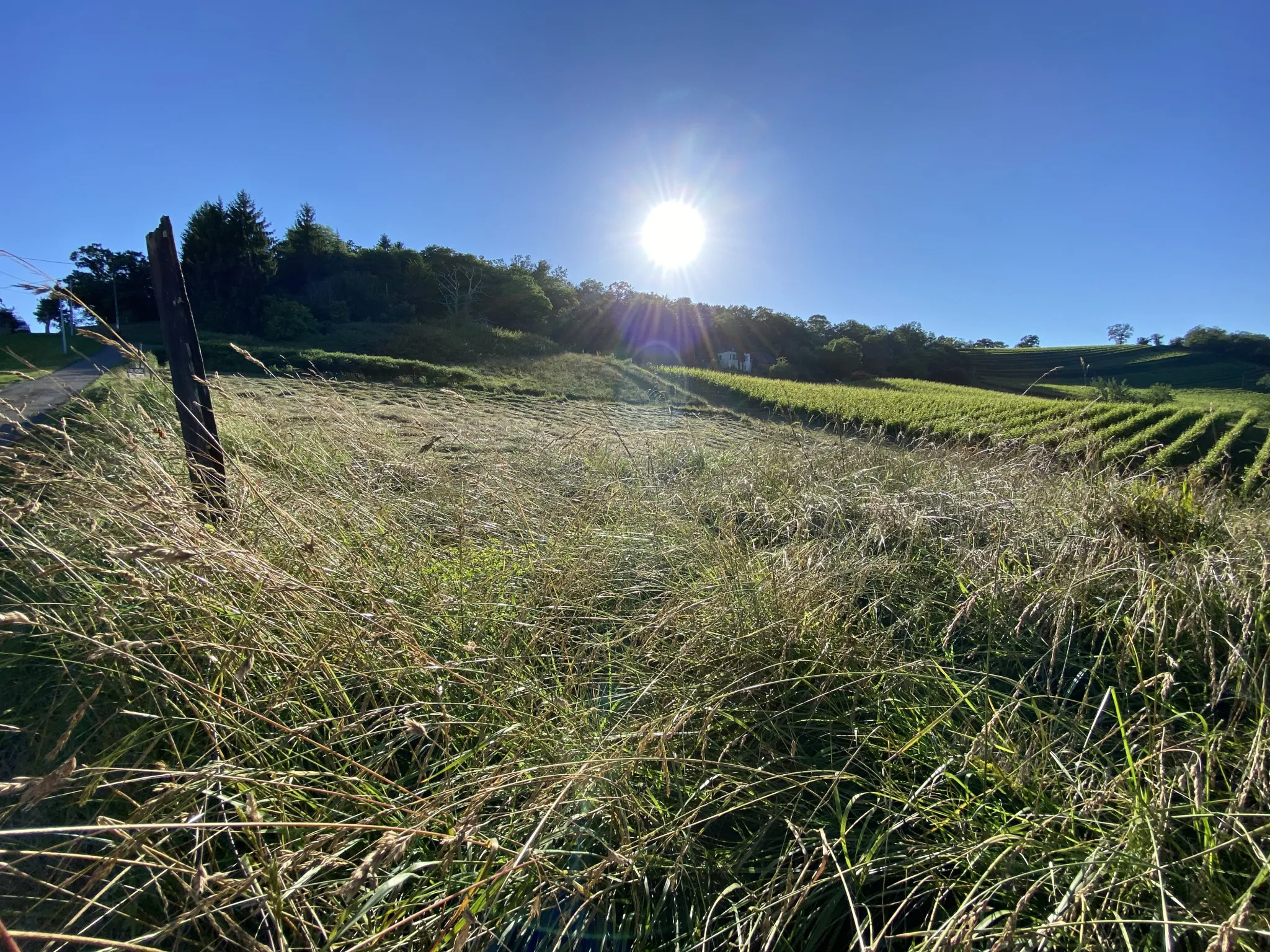 Terrain Constructible avec Vue Pyrénées à Monein 